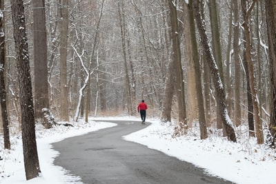 白天，穿着红色夹克的人在光秃秃的树之间的积雪覆盖的小路上行走
